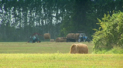 Tractor in the field 09 Stock Footage 510033