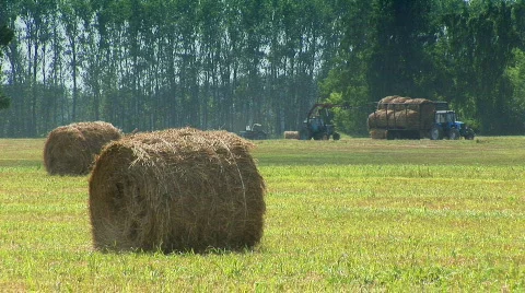 Tractor in the field 21 스톡 동영상 519592