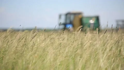 TRACTOR IN THE FIELD 4 Stock Footage 158127389