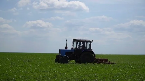 The tractor in the field cultivates Video stock 83796629