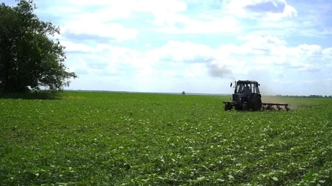 The tractor in the field cultivates Video stock 83798036