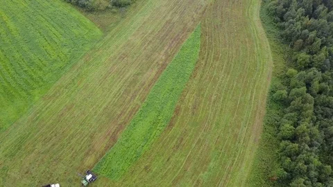 The tractor in the field cuts the grass. Stock Footage 80211038