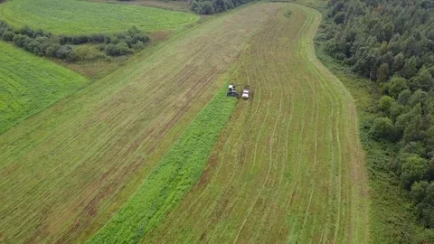 The tractor in the field cuts the grass. Stock Footage 80213182