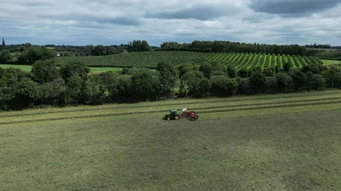 Tractor in field cutting grass. Stock Footage 207745276