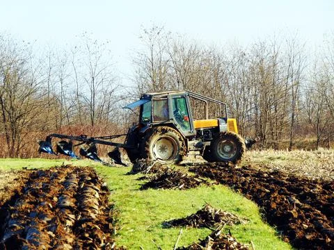 Tractor on the field at farm 库存照片