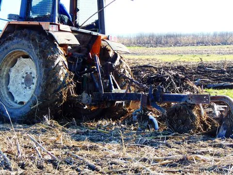 Tractor on the field at farm Фото