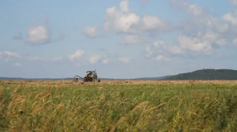 Tractor on the field Stock Footage 54712329