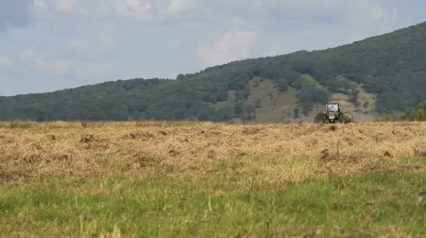 Tractor on the field Stock Footage 54712551