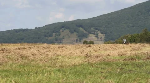 Tractor on the field Stock Footage 54712582