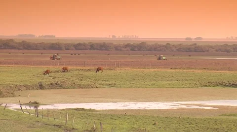 Tractor in the field Stock Footage 68681440