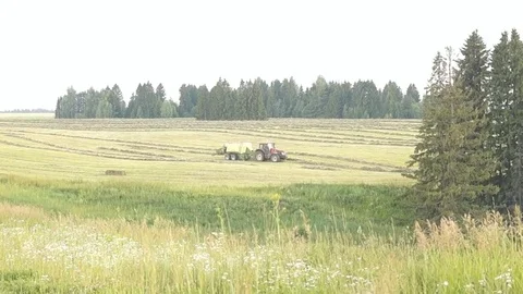 Tractor in the field Stock Footage 77785397