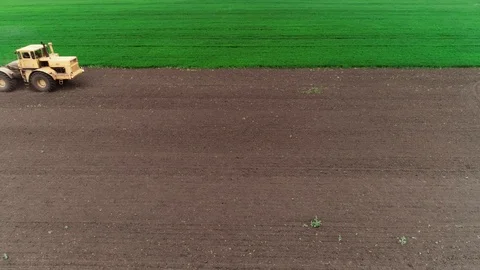 Tractor in the field 스톡 동영상 93303033