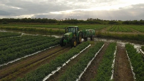 Tractor in field Video stock 100615321