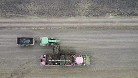 Tractor on the field. Stock Footage 164000763