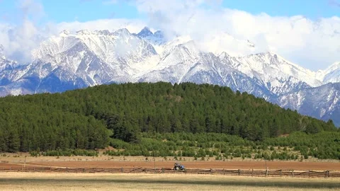 Tractor on the field harrow land on background of snowy mountains Stock Footage 87640323