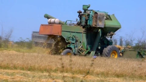 Tractor In Field Harvests Video stock 93735620