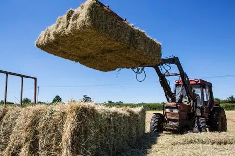 Tractor in a field, loading hay bales onto a trailer. Stock Photos