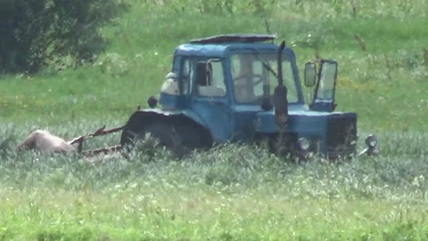 Tractor in the field, meadow 스톡 동영상 93252780