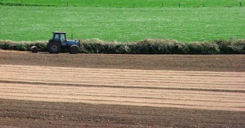 Tractor on the field Stock Photos