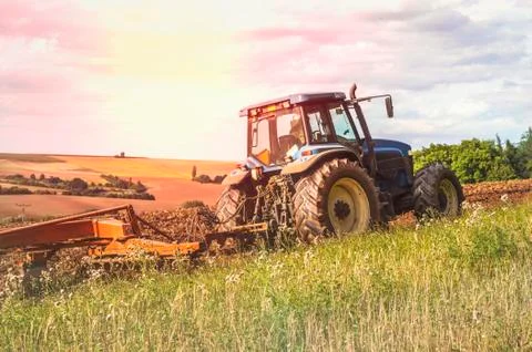 Tractor on the field Stock Photos