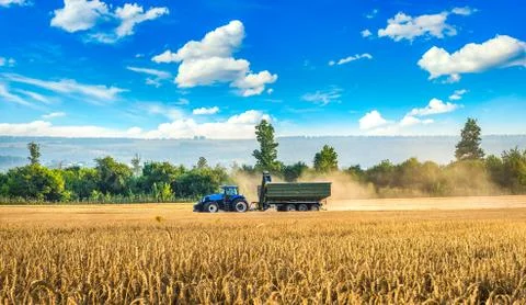 Tractor in the field Stock Photos