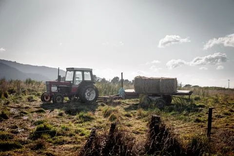 Tractor in Field Foto stock