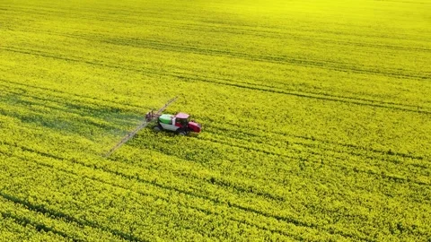 Tractor in the field. View from above. Spraying pesticides and herbicides on Video stock 253736542