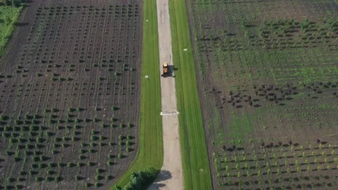 Tractor in the field in Wisconsin   Stock-Footage 169551186