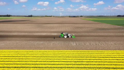 Tractor in field with yellow flowers 스톡 동영상 154659417
