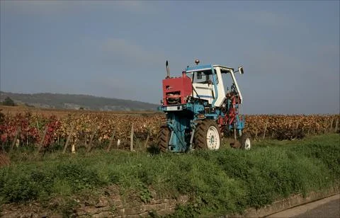 A tractor fitted with a post drill about to enter the vineyards Stock Photos