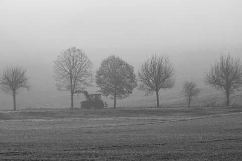 Tractor in the fog on a path between trees Foto stock