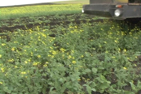 Tractor .  Stock Footage 333711