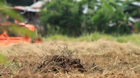 Tractor Video stock 12437680