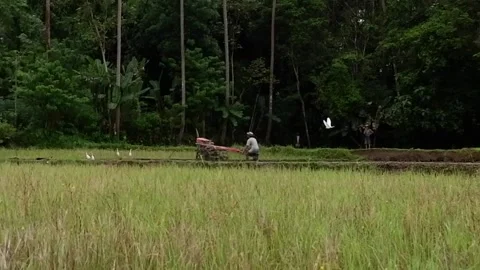 Tractor Stock Footage 228782734