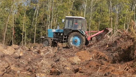 A tractor in a forest Stock Footage 84024842