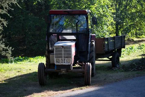 Tractor in the forest Foto stock