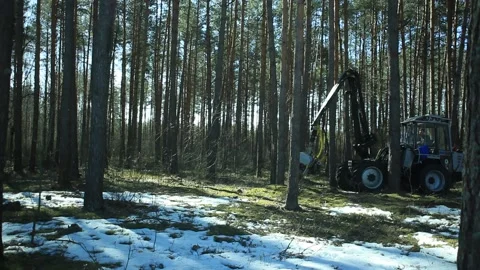 Tractor for the forestry Stockbeeldmateriaal 164653544