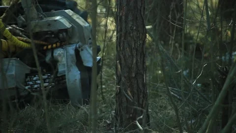 Tractor for the forestry Video stock 164653566