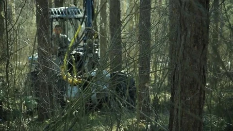 Tractor for the forestry Video stock 164653707