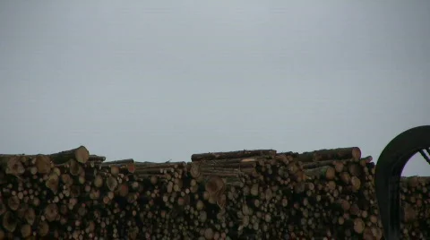 Tractor fork (claw) Stock Footage 568047