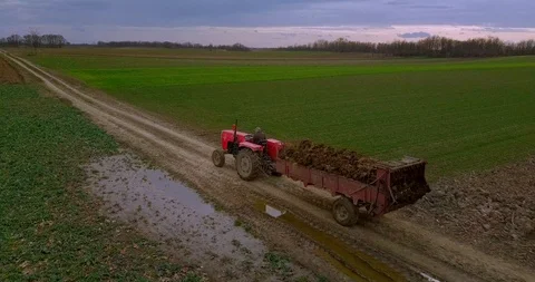 Tractor goes on field with manure Stock Footage 117263176