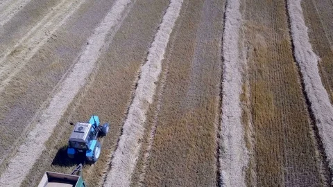 Tractor goes to pick up wheat from combine harvester Stock Footage 78819360