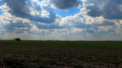 The tractor goes through the field spraying useful substances. Stock Footage 152834460