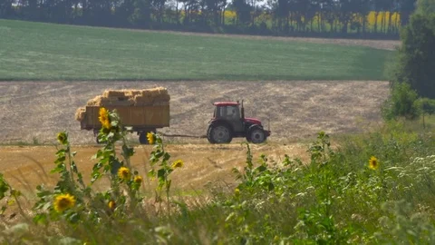 Tractor going on the road Stock Footage 69808522