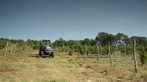 Tractor on grapes field vineyard Vídeos de archivo 13909221