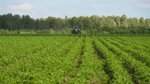 Tractor in green field Stock Footage 243424225