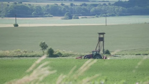 Tractor in the green field Video stock 263150425