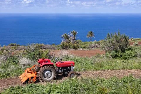 Tractor in green fields with Ocean view, la Palma island Stock Photos