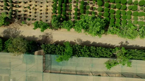 Tractor at Greenworks garden. Stock Footage 64019727