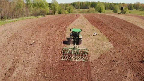 Tractor harrowing the field and storks flying around, searching for food Stock Footage 131589077